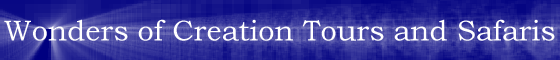 wonder-anim.gif (253027 bytes)